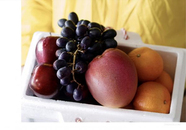 75-Vol.2--Dilivery-X-MEN