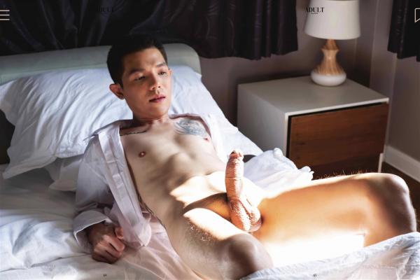 ADULT-26--Plus--EbookVideo-