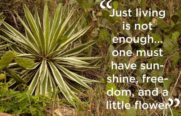 AWESOME--Issue-3---Cartoon