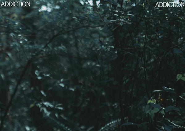 Adventures-With-The-Boy-1