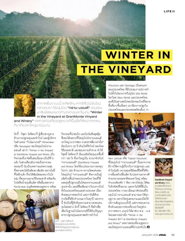 Attitude-January-2018