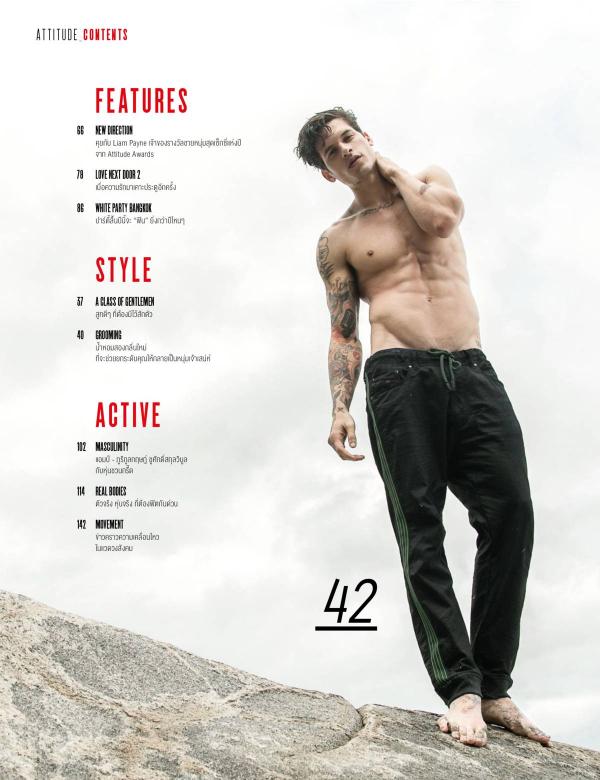 Attitude-November-2015