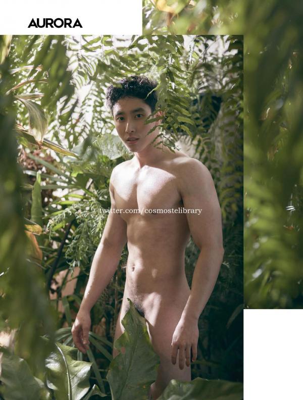 Aurora-11--Ky-Plut-Extra-A-B