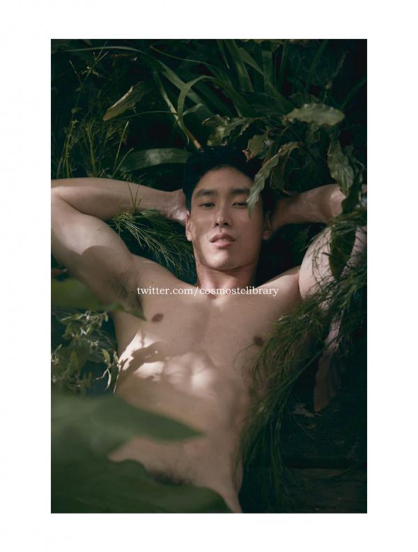 Aurora-11--Ky-Plut-Extra-A-B