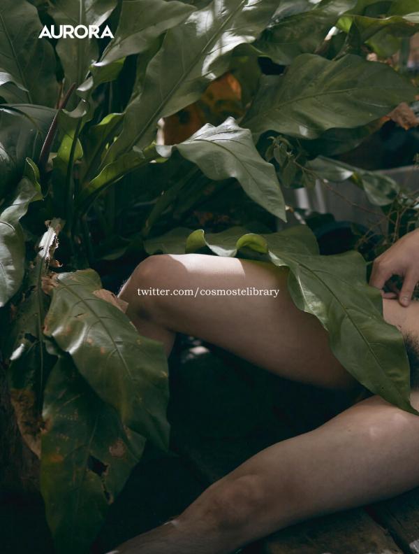 Aurora-11--Ky-Plut-Extra-A-B