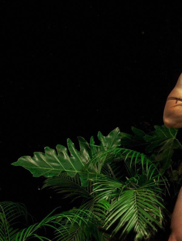 BAO-02--The-Yummy-Boy