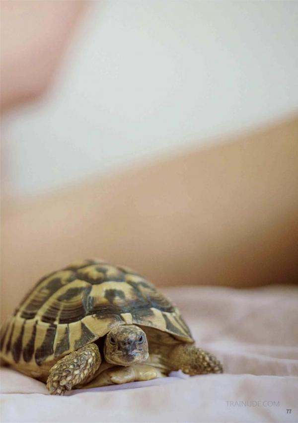 Blue-Men-No.209-EbookVideo