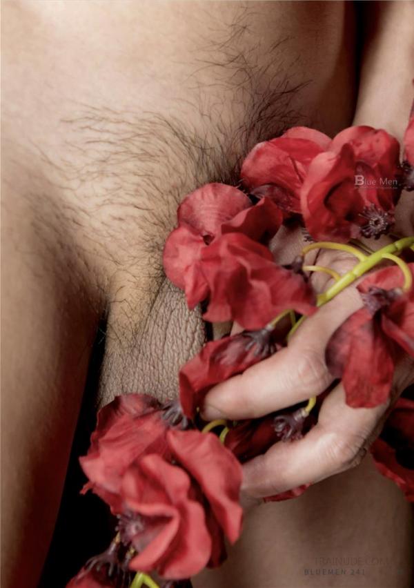 Blue-Men-No.241-EbookVideo