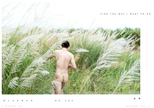 Blue-Men-no.262-ebook---video