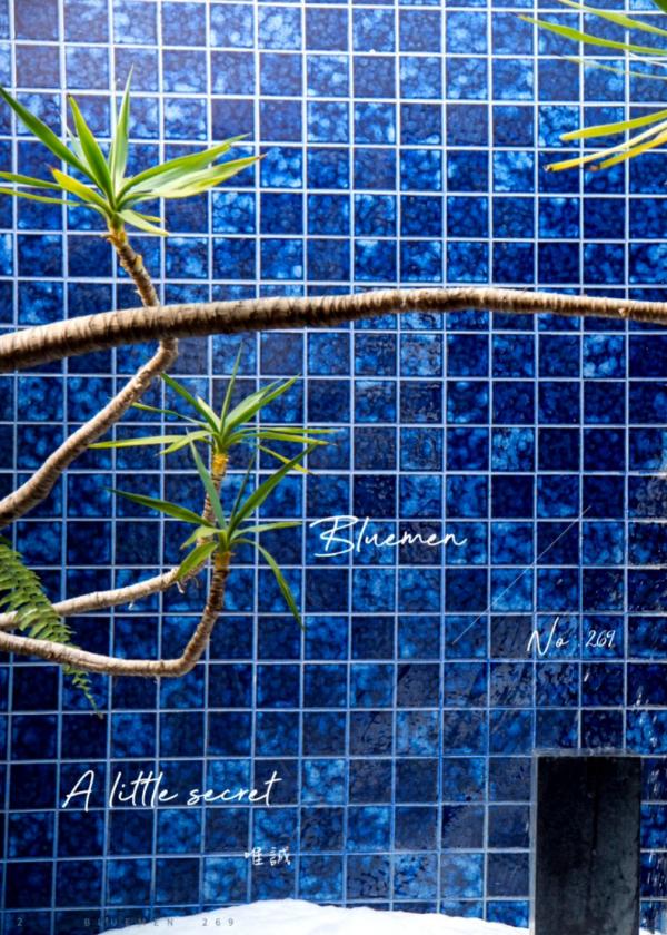 Blue-Men-no.269-ebook--cum-video