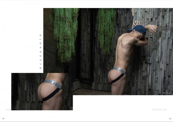 Blue-Photo-65--E-Book--Video-Cum-