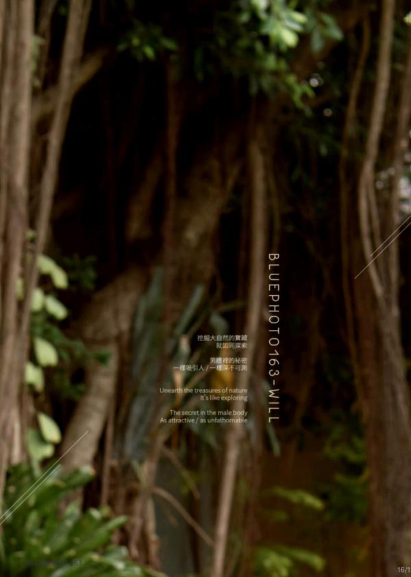 Blue-Photo-no.163-ebook--cum-video