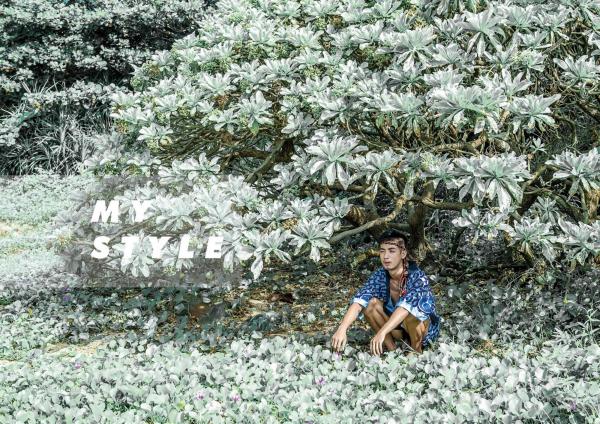 BlueMen-186--EbookVideo-