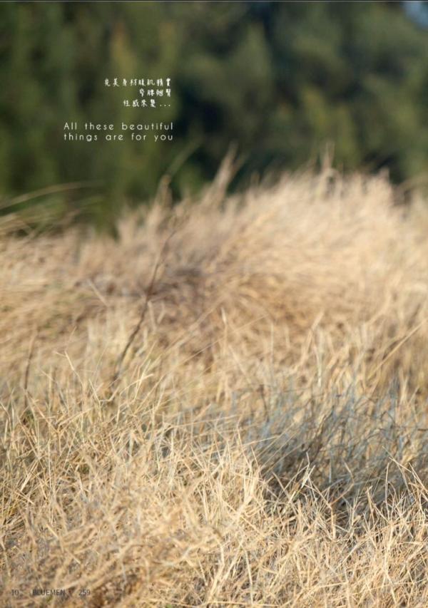 BlueMen-259--EbookVideo-