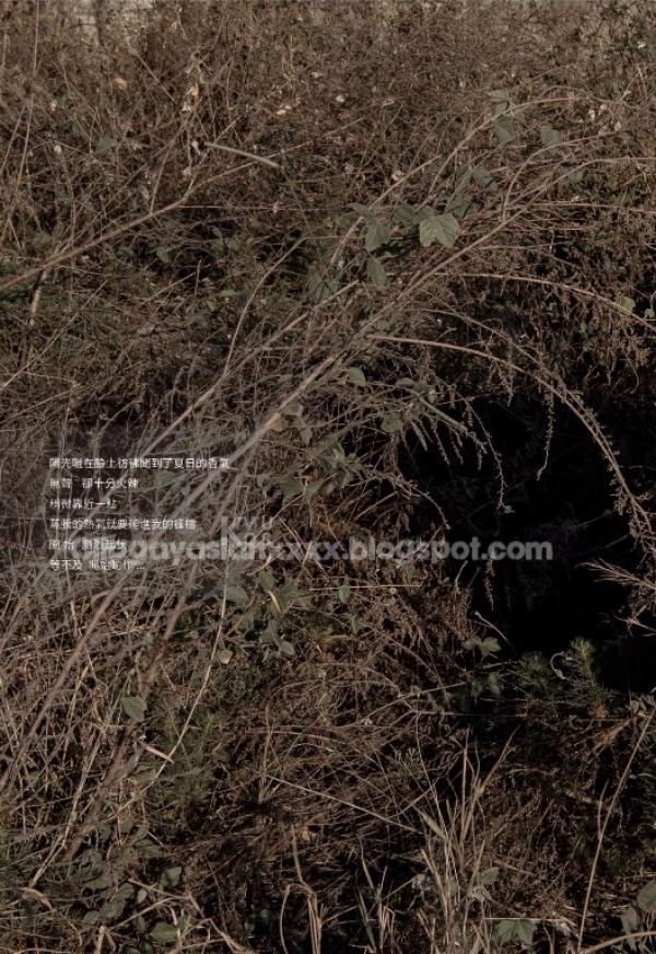 Bluephoto-藍攝-51-優雅文青型男--NICK-全見版