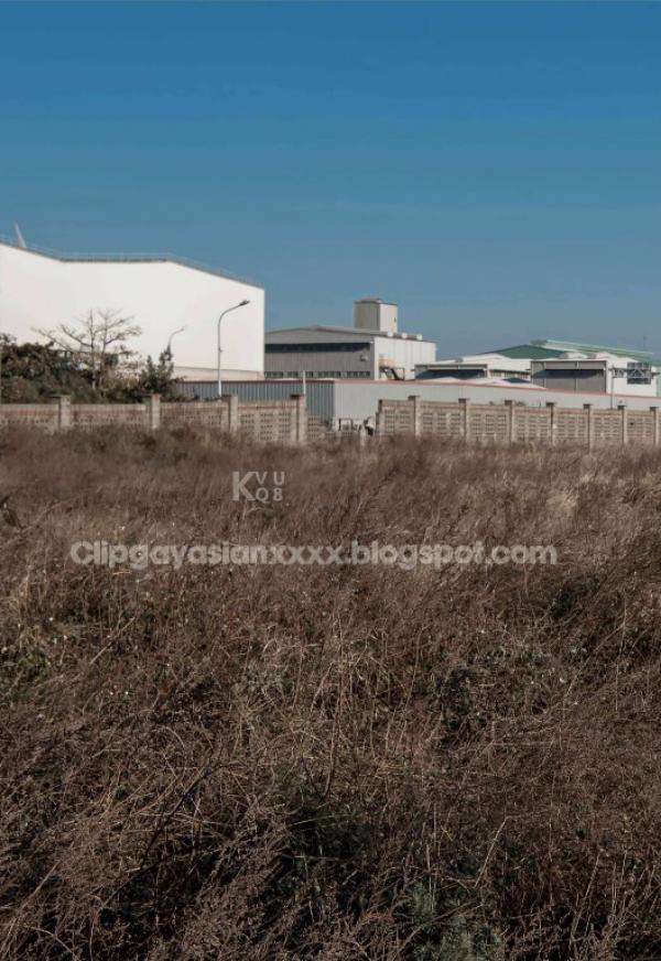 Bluephoto-藍攝-51-優雅文青型男--NICK-全見版