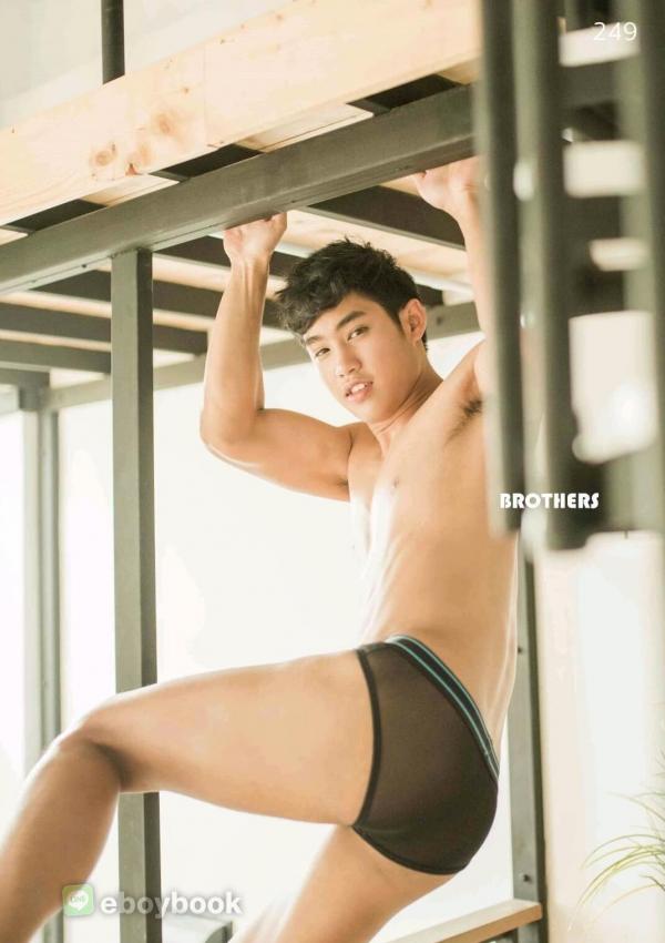 Brothers-Vol.25--Diamond