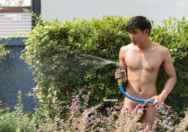 Brothers-Vol.25--Diamond