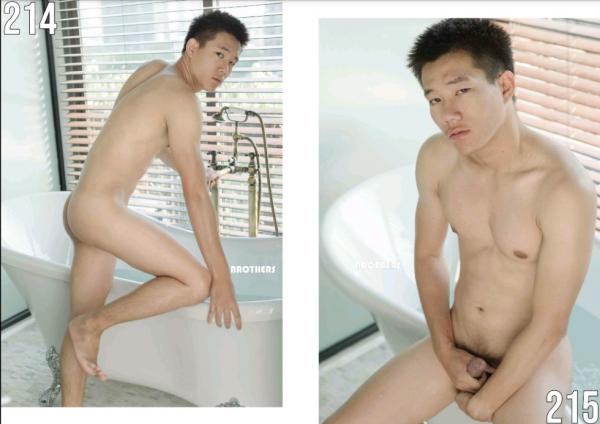 Brothers-Vol.27.2--HON