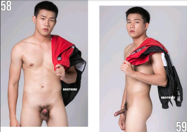 Brothers-Vol.27.2--HON