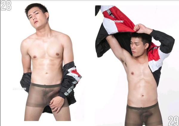 Brothers-Vol.27.2--HON