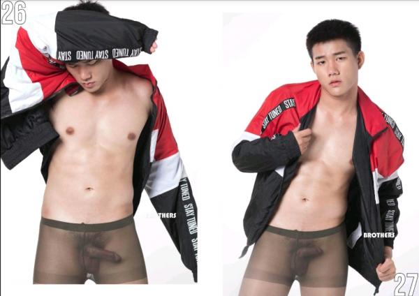 Brothers-Vol.27.2--HON