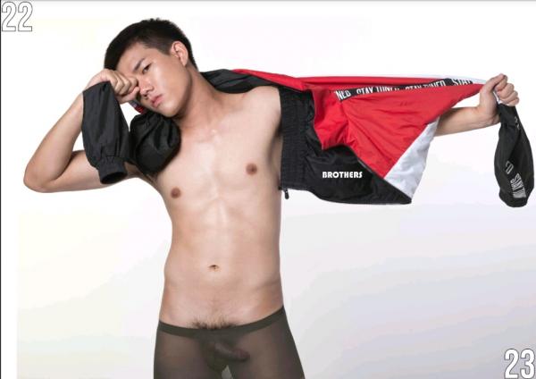 Brothers-Vol.27.2--HON