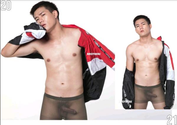 Brothers-Vol.27.2--HON