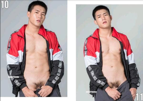 Brothers-Vol.27.2--HON