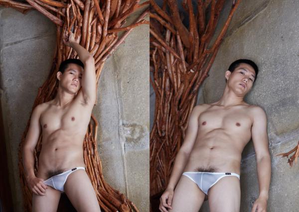 Brothers-Vol.5---HoN