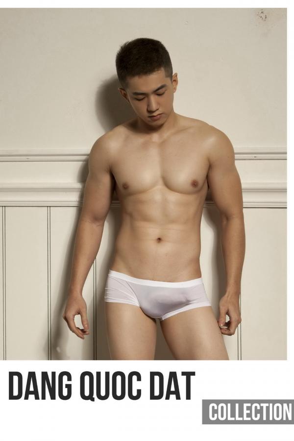 DANG-QUOC-DAT-Collection