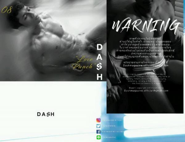 DASH-07--Love-Punch