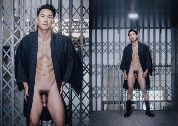 FOXX-02--The-Wood-Worker--EbookVideo-