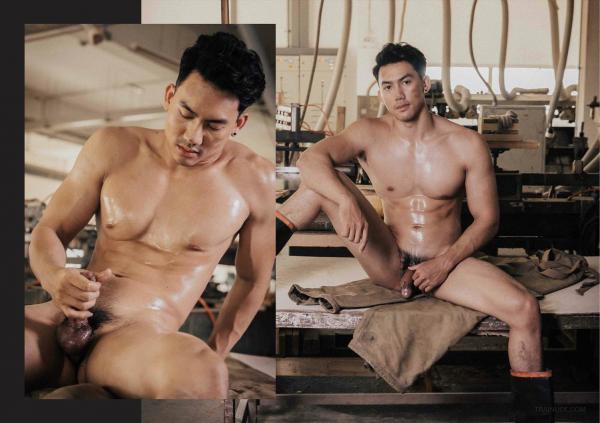 FOXX-02--The-Wood-Worker--EbookVideo-