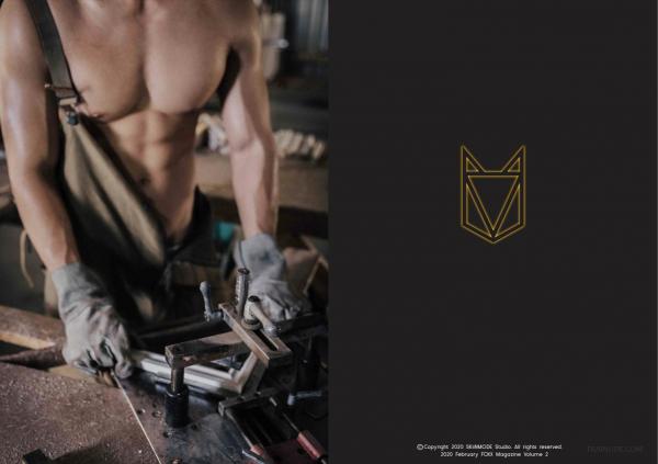 FOXX-02--The-Wood-Worker--EbookVideo-