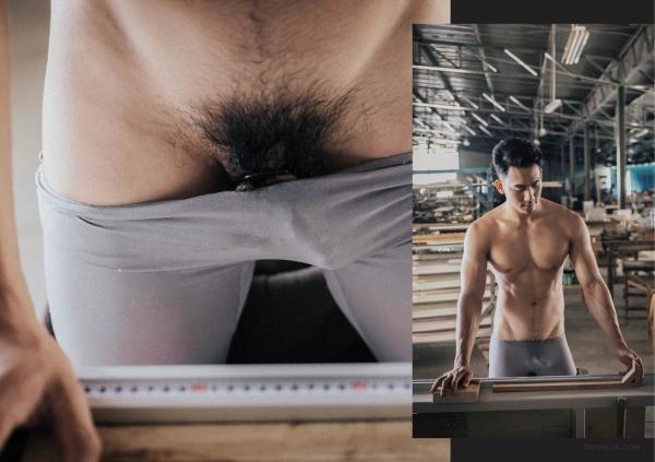 FOXX-02--The-Wood-Worker--EbookVideo-