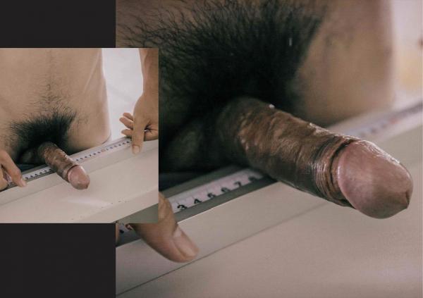 FOXX-02--The-Wood-Worker--EbookVideo-