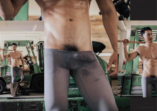 FOXX-02--The-Wood-Worker--EbookVideo-