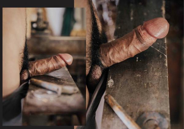 FOXX-02--The-Wood-Worker--EbookVideo-