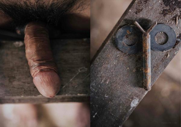 FOXX-02--The-Wood-Worker--EbookVideo-