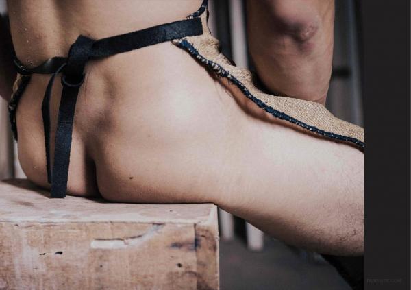 FOXX-02--The-Wood-Worker--EbookVideo-