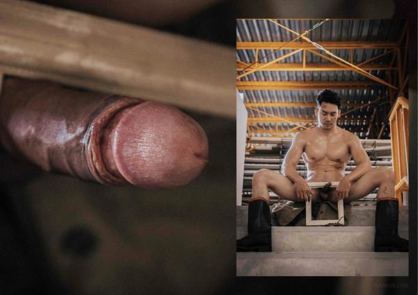 FOXX-02--The-Wood-Worker--EbookVideo-