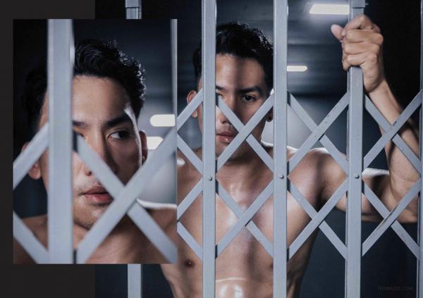 FOXX-02--The-Wood-Worker--EbookVideo-