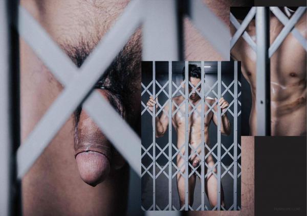 FOXX-02--The-Wood-Worker--EbookVideo-