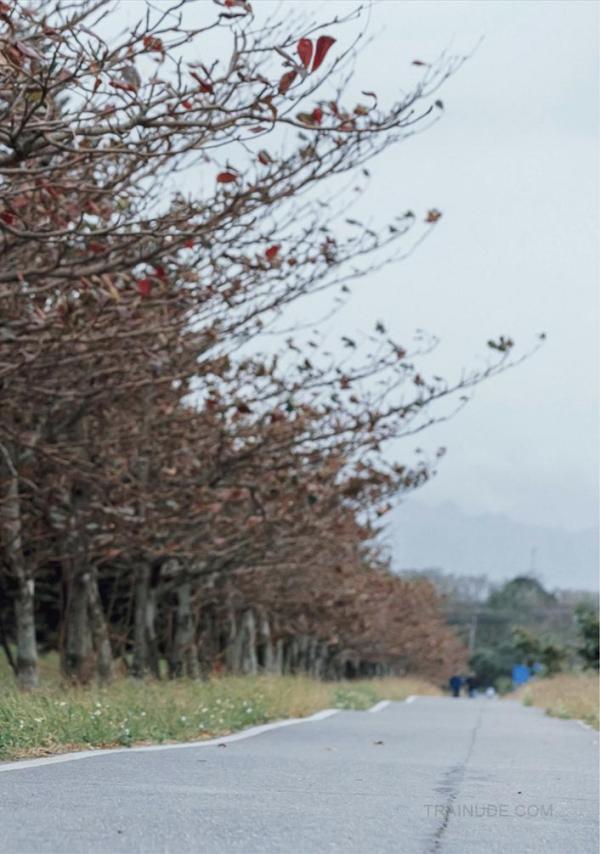 Fantasy---Alvin-Photography