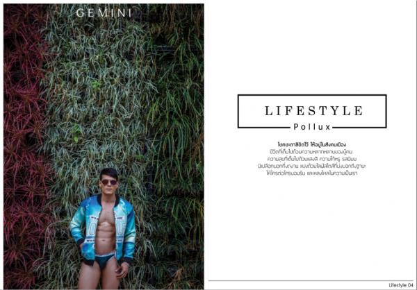 Gemini-02--Chok-Supachok