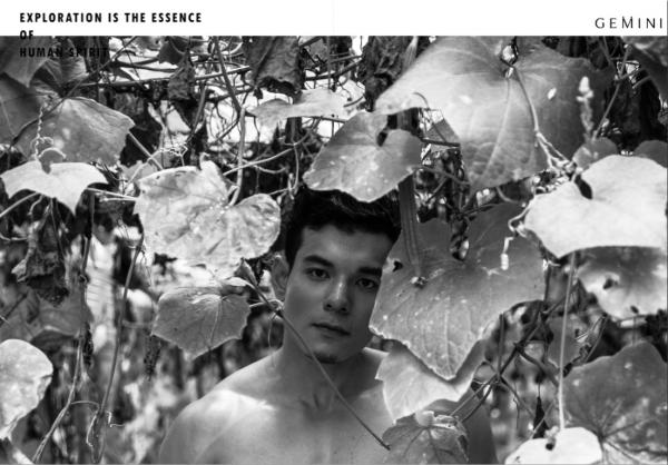 Gemini-02--Chok-Supachok