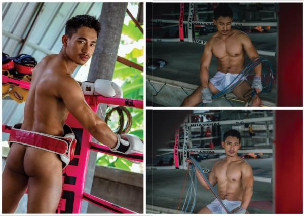 Gemini-06--Ball-Sunan-Wangwan