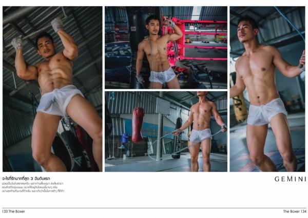 Gemini-06--Ball-Sunan-Wangwan