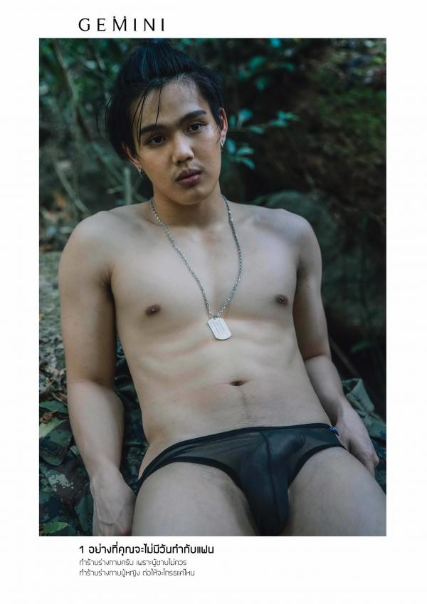 Gemini-07--Oat-Panu-Rudeerus